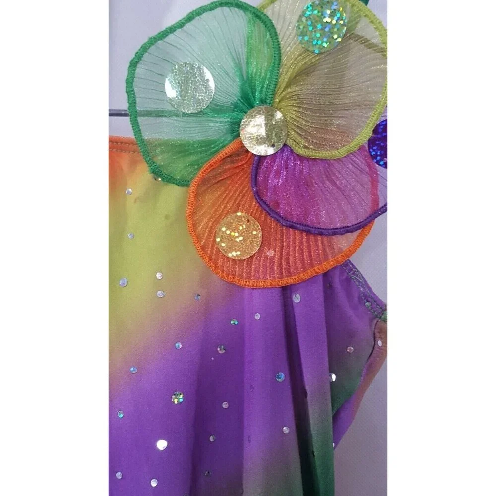 Art Stone Competitor Girls Dance‎ Costume Small Purple Green Flower Dress Up